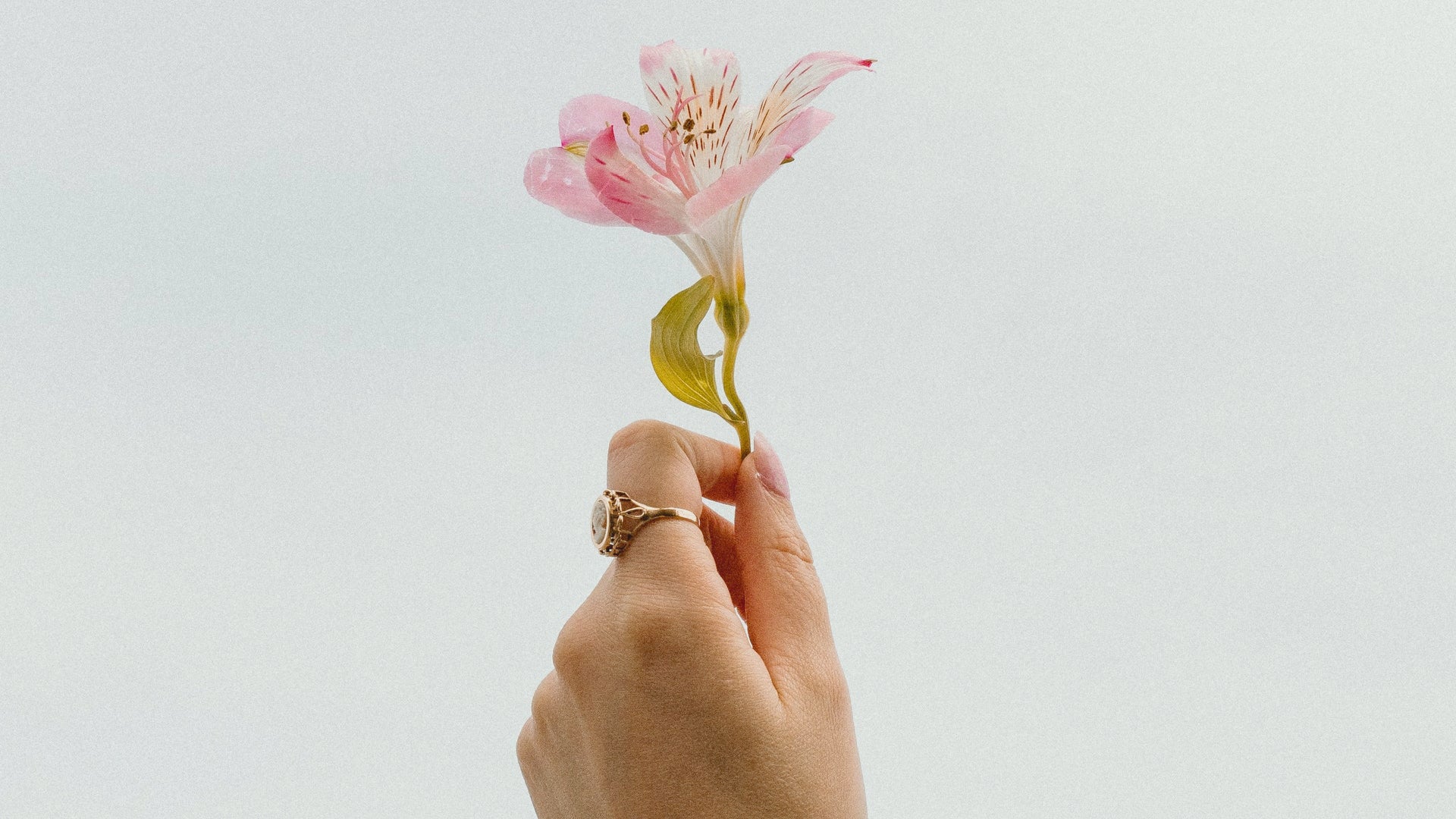 お守りジュエリーとは?~願いを込めた自分だけのジュエリーの選び方~