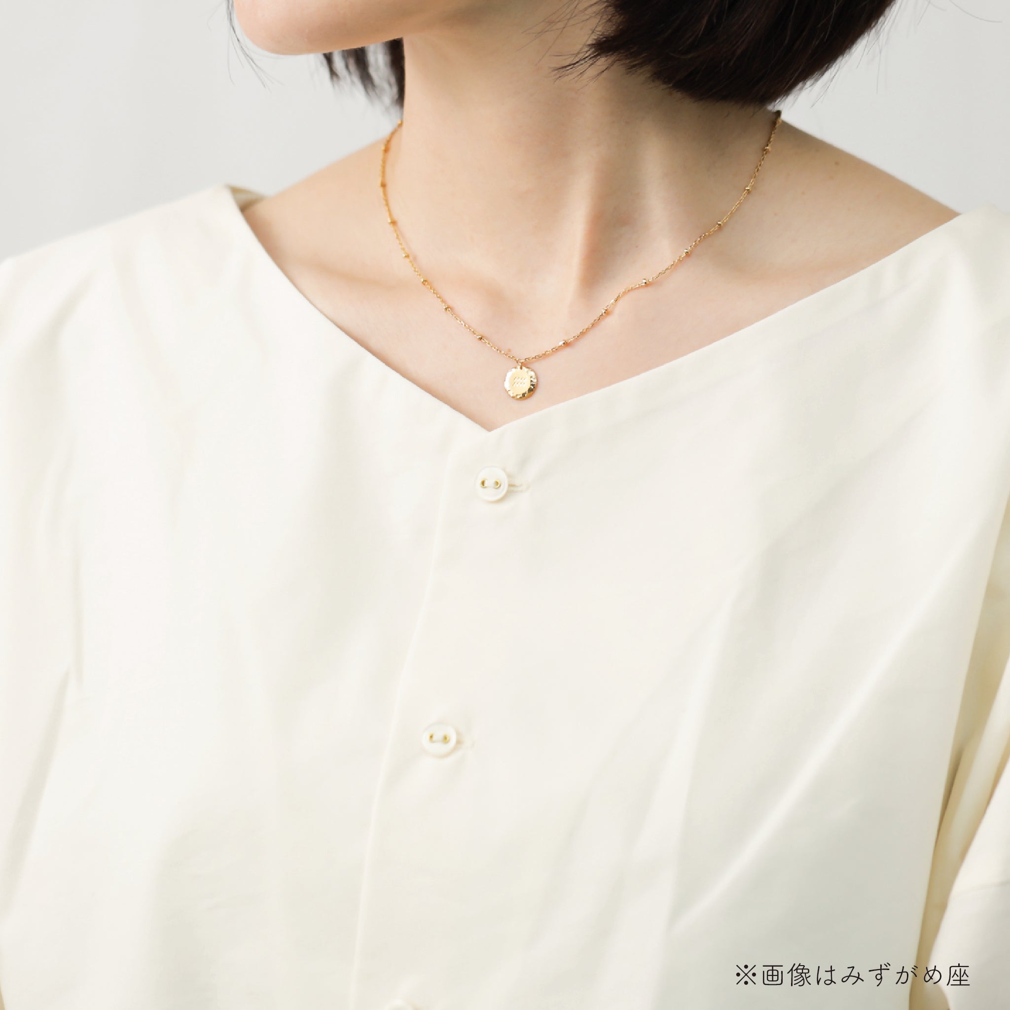 silver925 陰陽　白虎　四聖獣　喜平　コインネックレス silver925 陰陽 白虎 四聖獣 喜平 コインネックレス